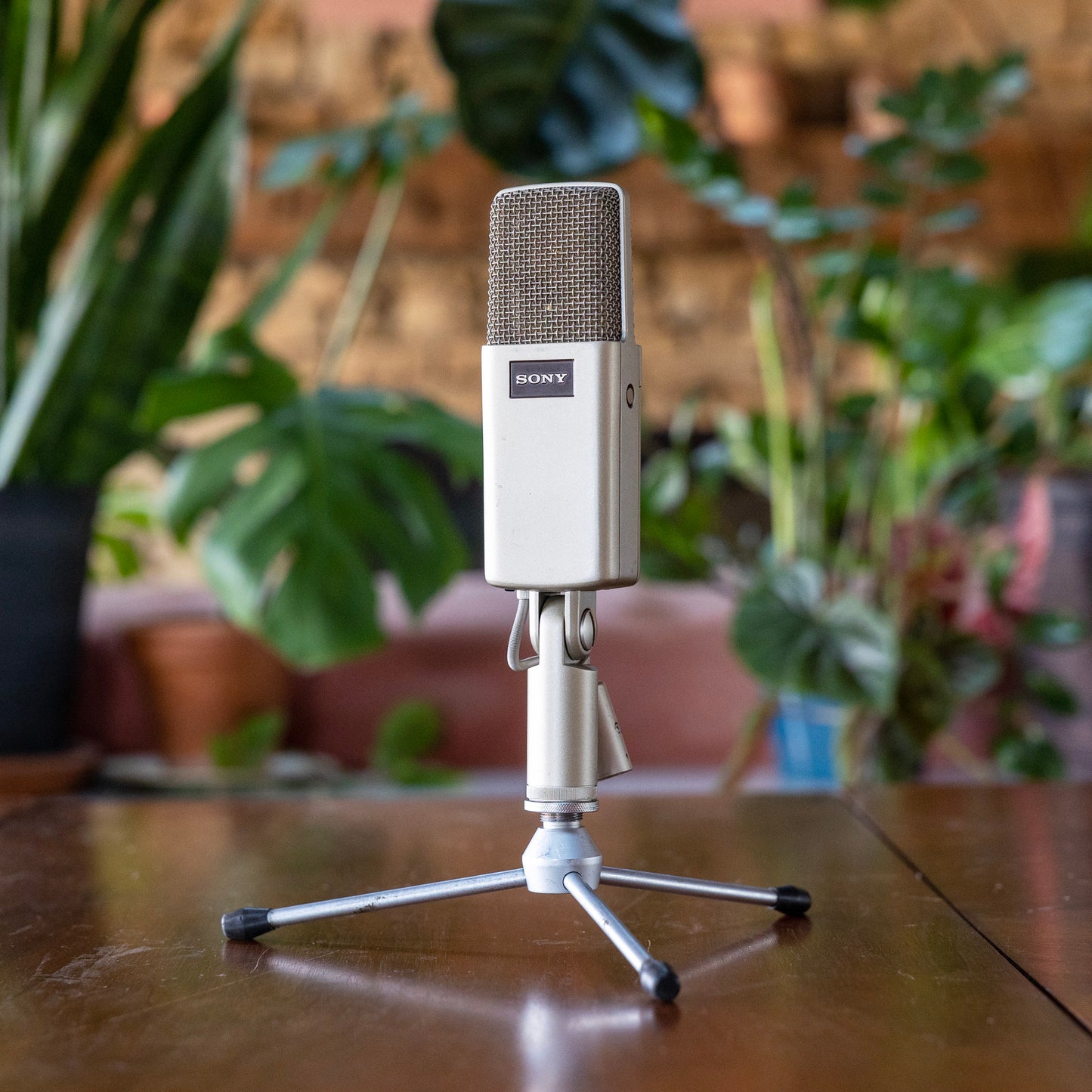 Sony C48