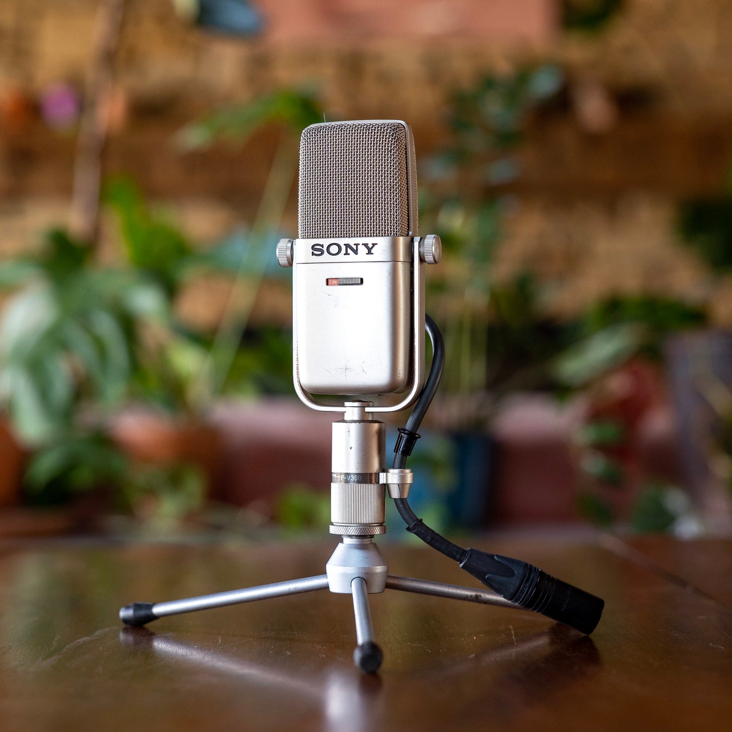 Sony F-V300