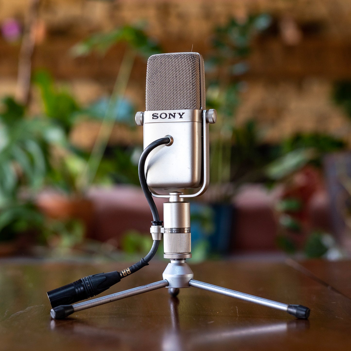 Sony F-V300