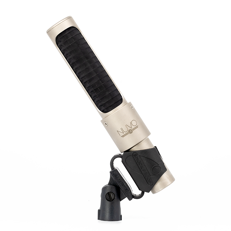 AEA N22 #02026 Ribbon Microphone