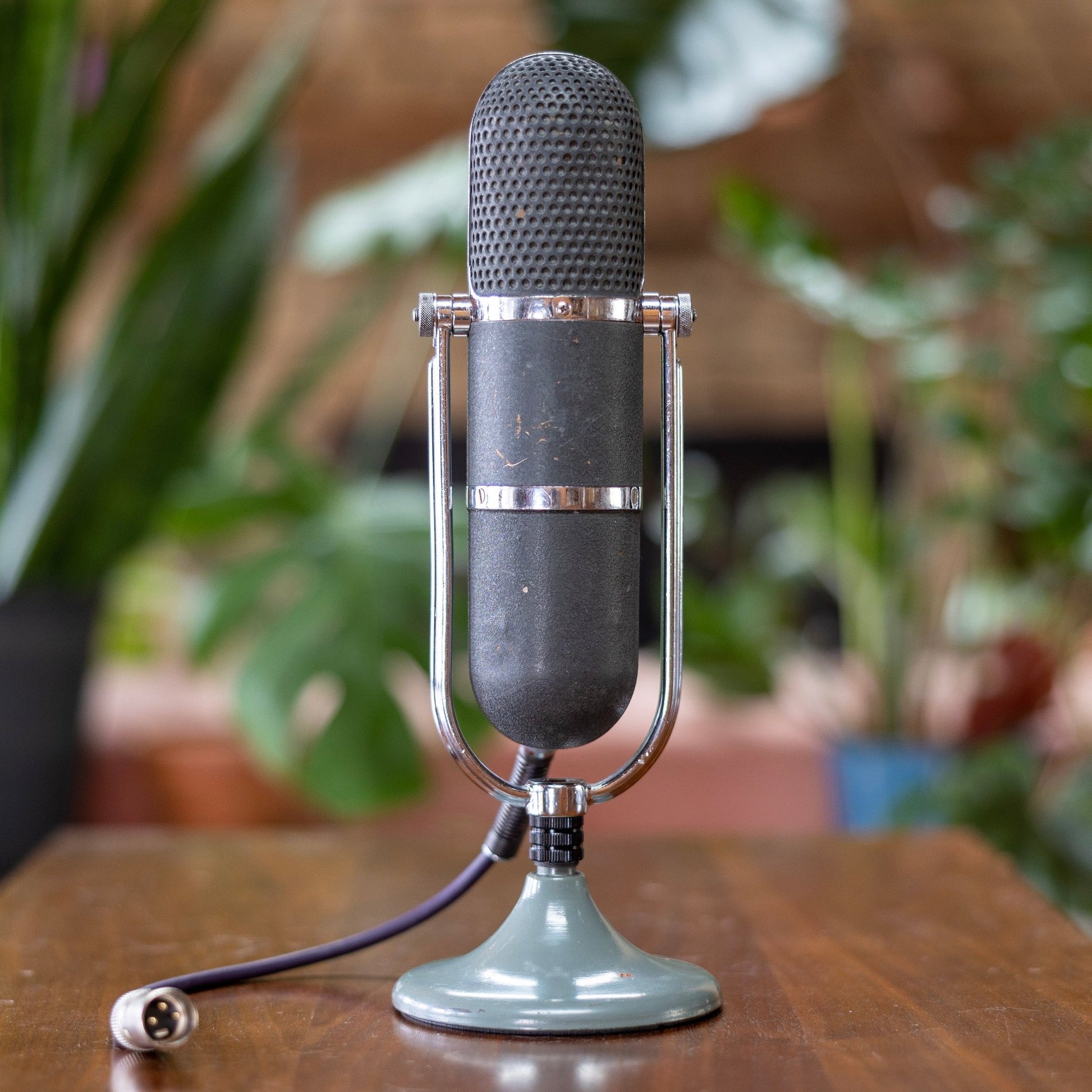 MRTP ML11B Ribbon Microphone