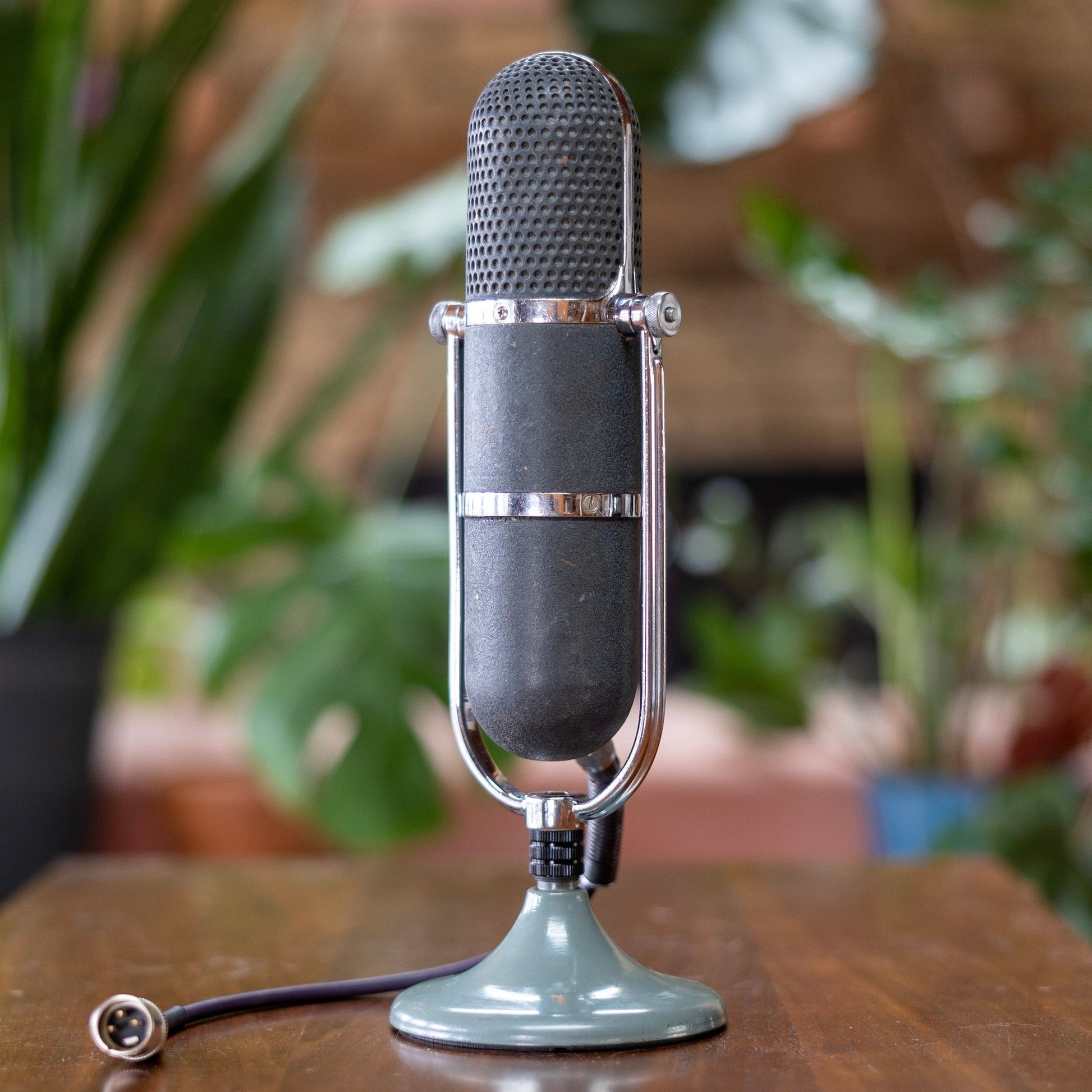 MRTP ML11B Ribbon Microphone
