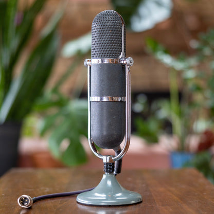 MRTP ML11B Ribbon Microphone