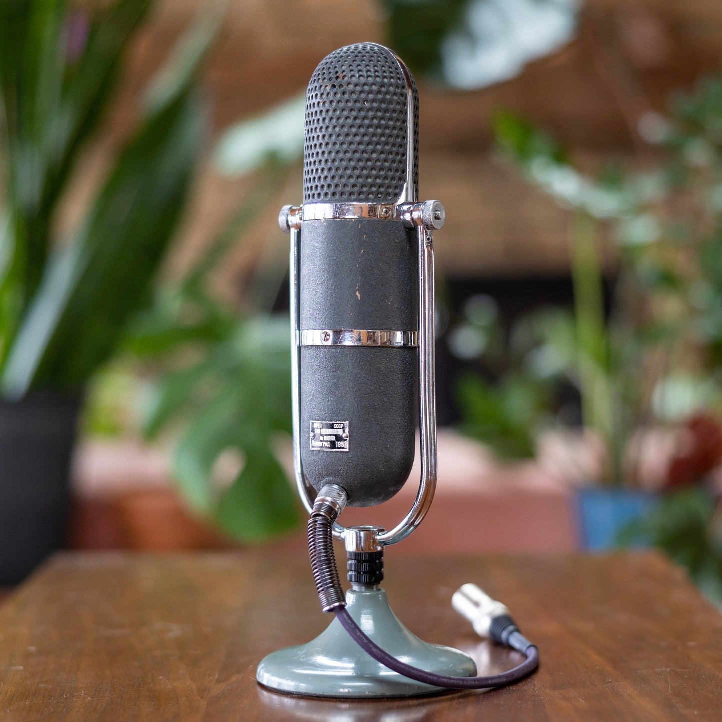 MRTP ML11B Ribbon Microphone
