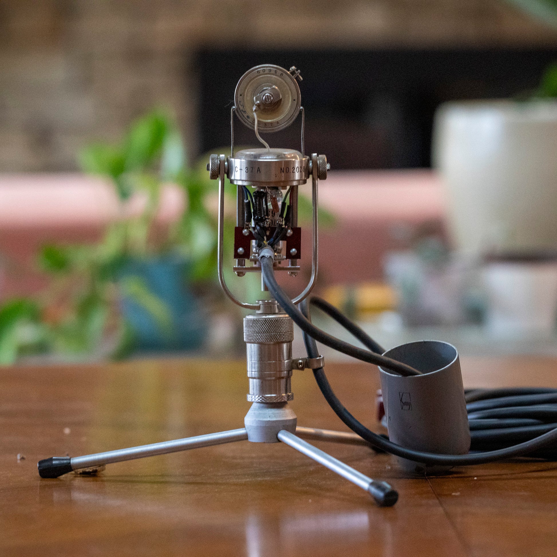 Sony C37a 